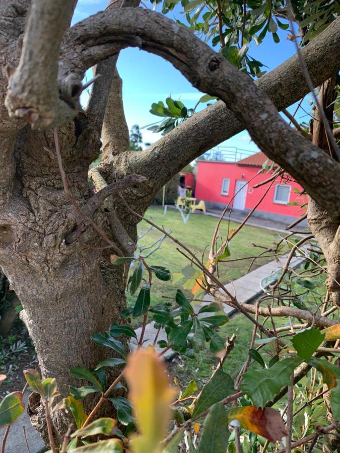 Quinta Do Norte - Biscoitos Angra do Heroismo Bagian luar foto