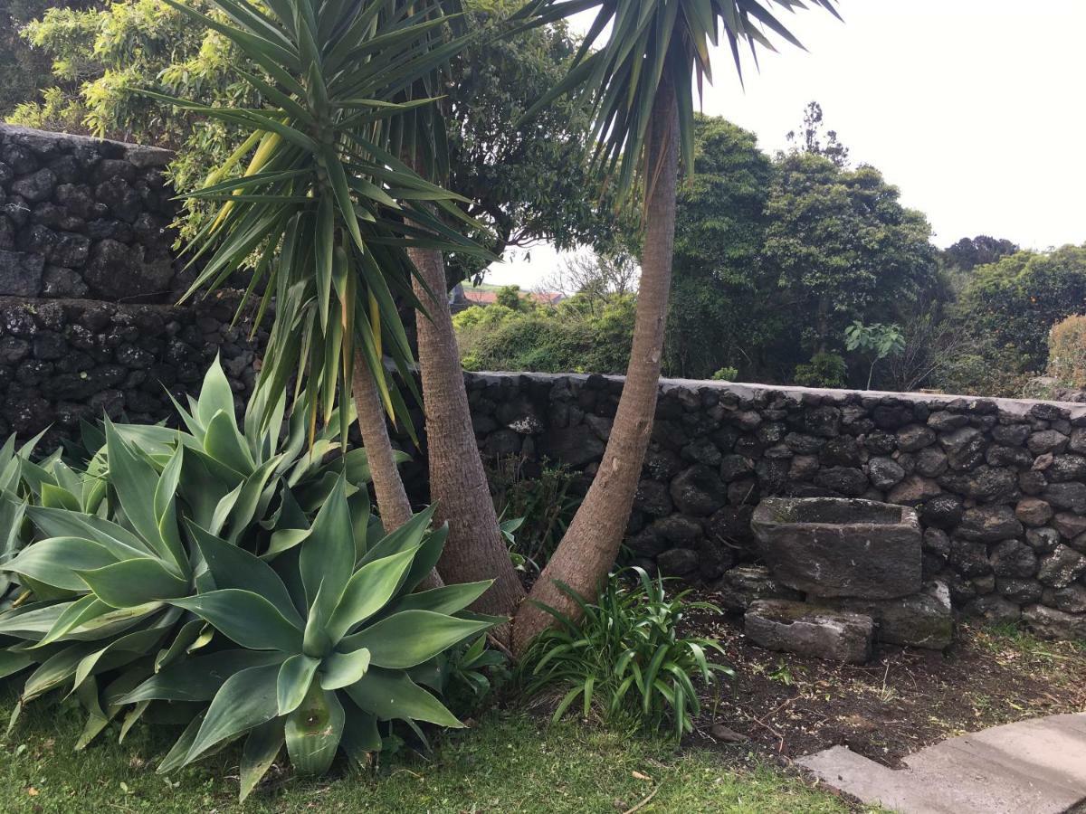 Quinta Do Norte - Biscoitos Angra do Heroismo Bagian luar foto